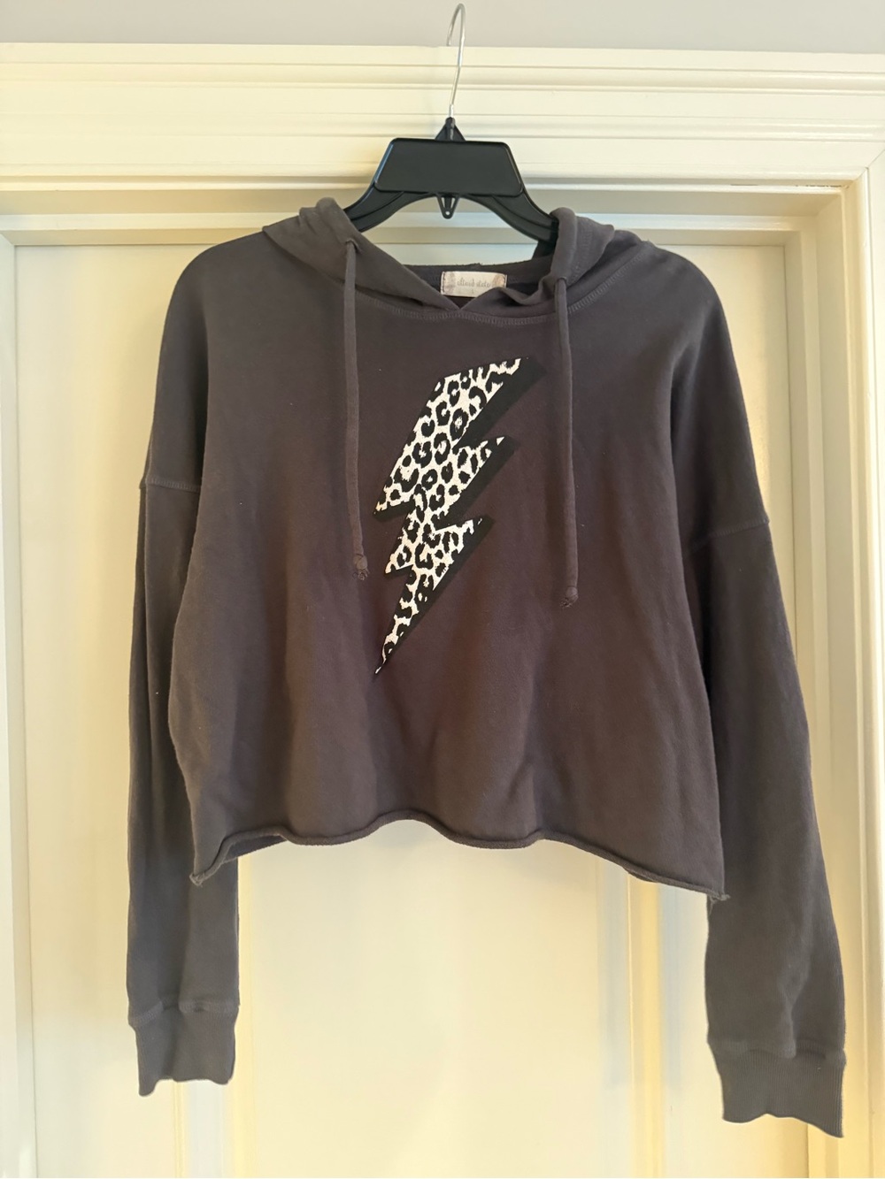 Altar'd State Leopard Bolt Cropped Hoodie